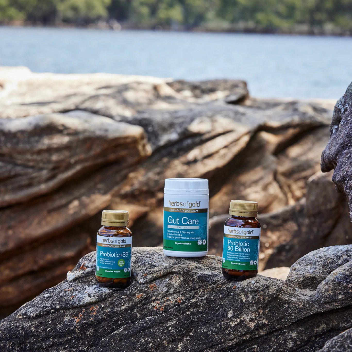 Probiotic 60 Billion - Image 5